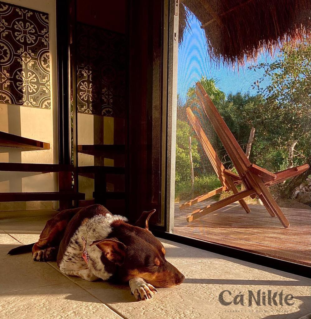 Ca Nikte Cabanas Ель-Куйо Екстер'єр фото